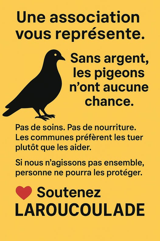 Faites un don pour les pigeons